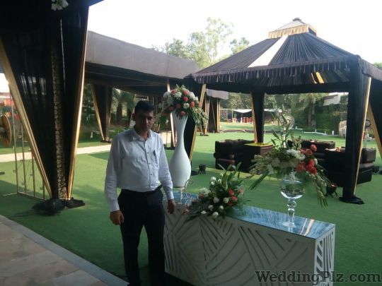 Decoring Lives Decorators weddingplz