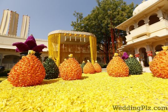 FNP Weddings and Events Decorators weddingplz