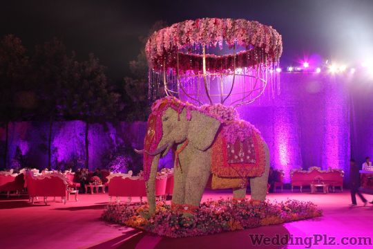 FNP Weddings and Events Decorators weddingplz