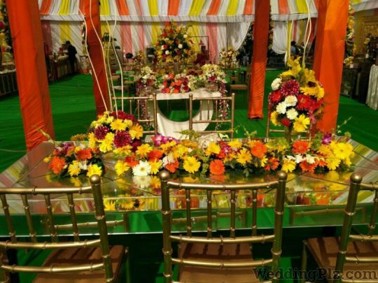 Shehnai Wedding and Events Decorators weddingplz