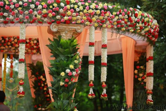 KraftStar Management Decorators weddingplz
