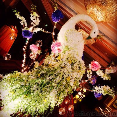 Comme Sogno Vero Decorators weddingplz