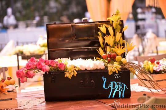 The Elephant Ride Decorators weddingplz