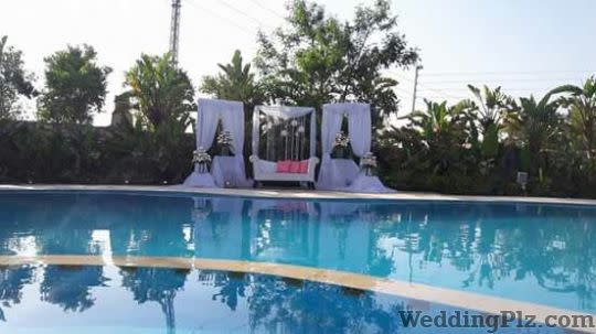 Roses and Petals Flower Decoration Decorators weddingplz