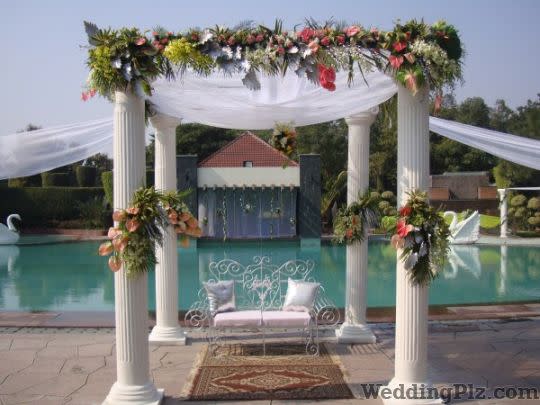 Roses and Petals Flower Decoration Decorators weddingplz