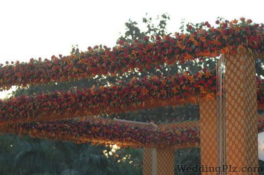 LVY Weddings Decorators weddingplz