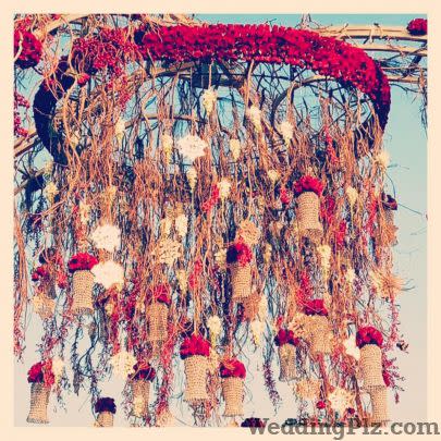 LVY Weddings Decorators weddingplz
