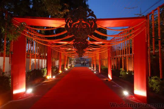 LVY Weddings Decorators weddingplz